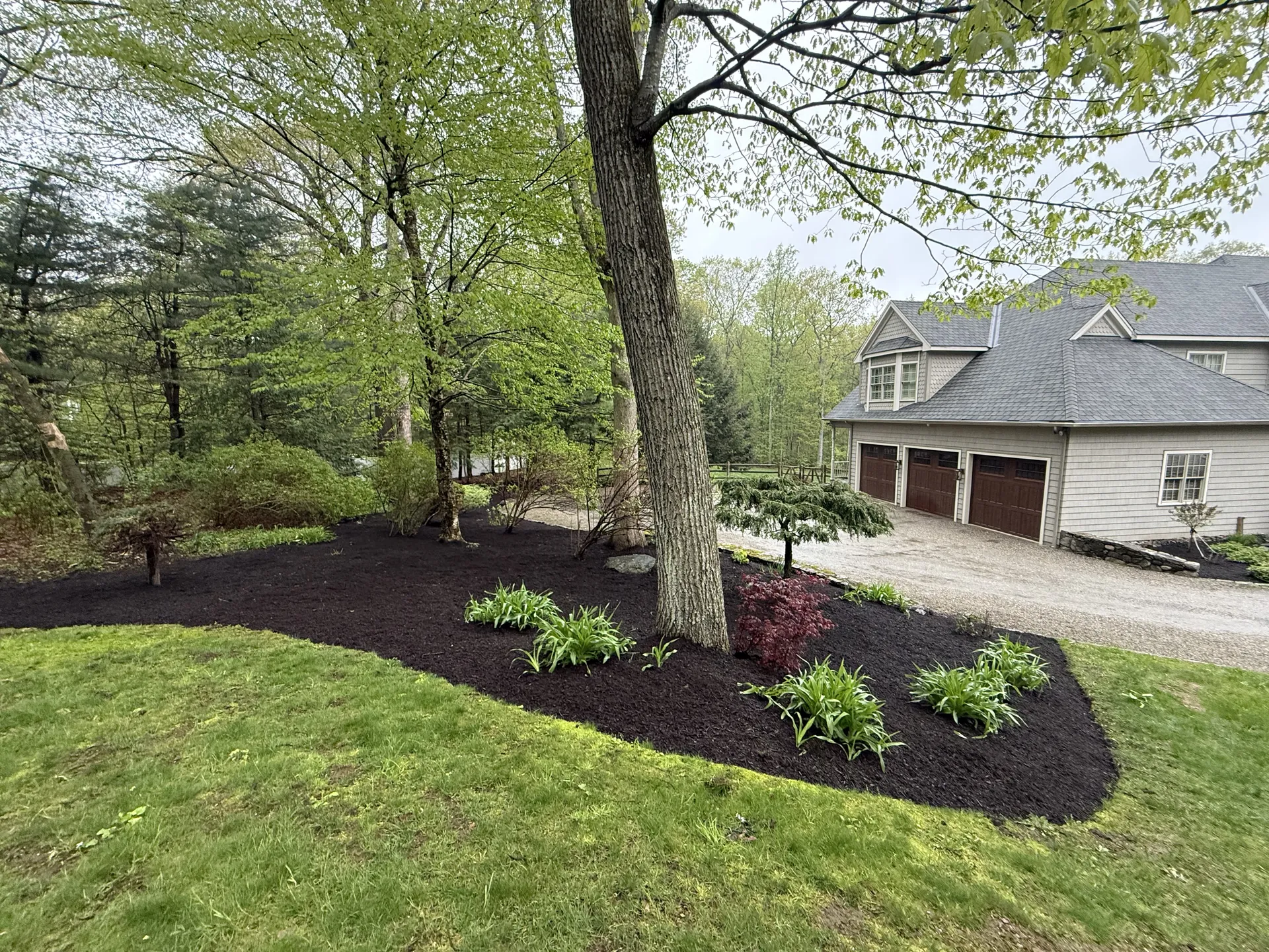 Large mulch bed along driveway with perennial plantings